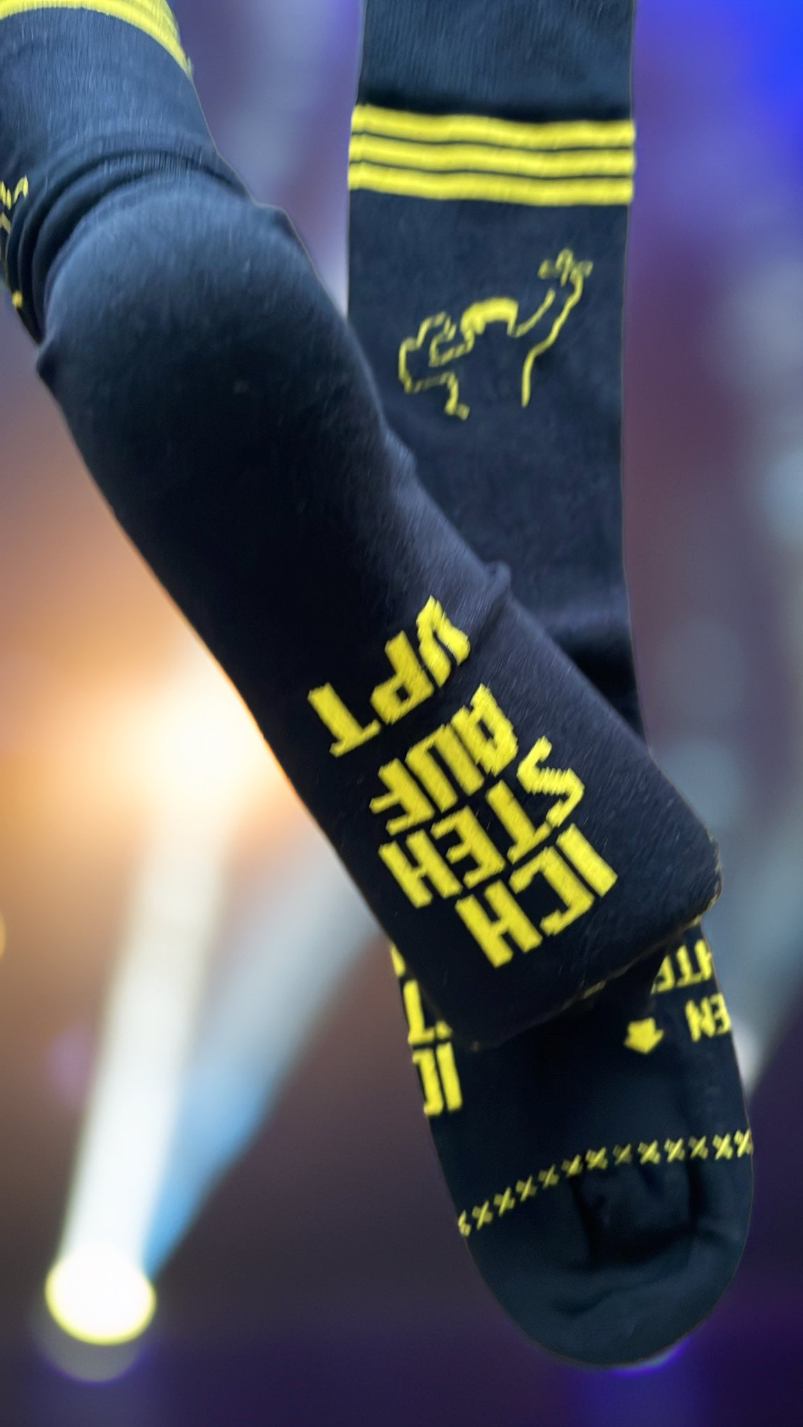 VPT Socke "Classic" | Vorbestellung